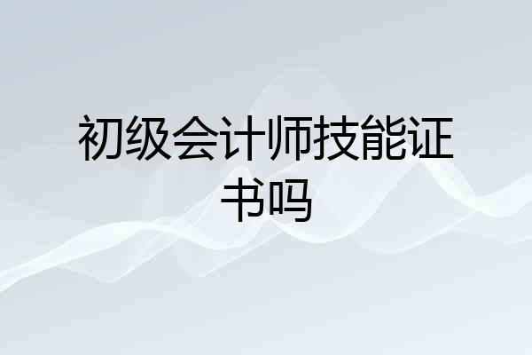 初级会计师技能证书吗