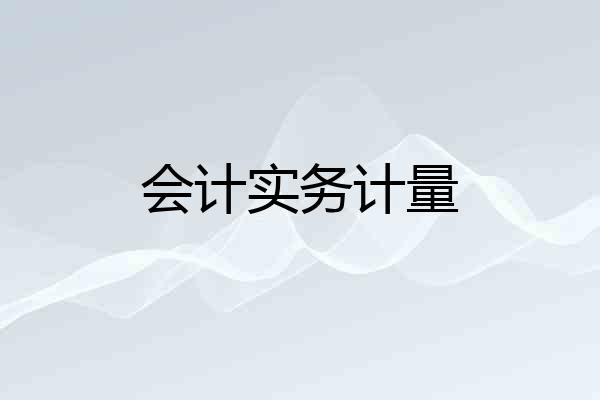 会计实务计量