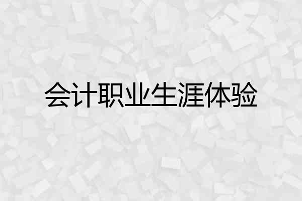 会计职业生涯体验