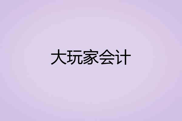 大玩家会计