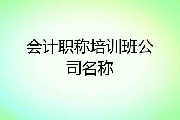 会计职称培训班公司名称