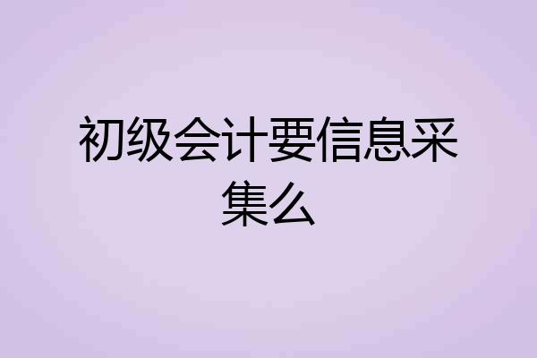 初级会计要信息采集么