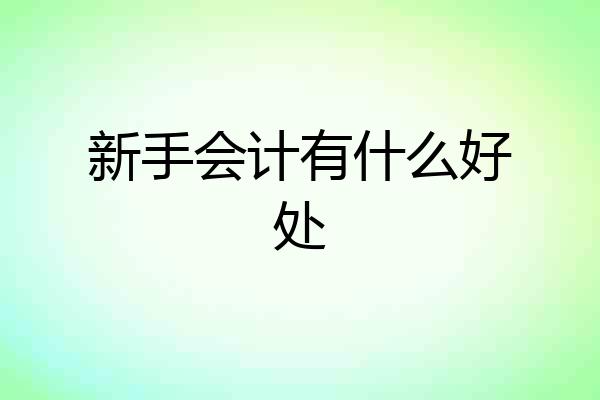 新手会计有什么好处