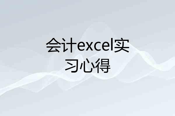会计excel实习心得