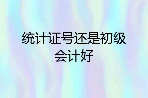 统计证号还是初级会计好