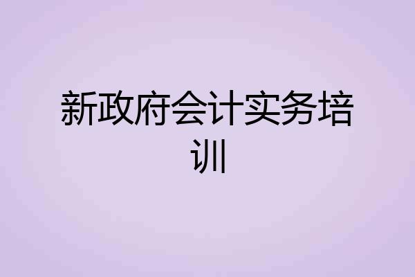 新政府会计实务培训