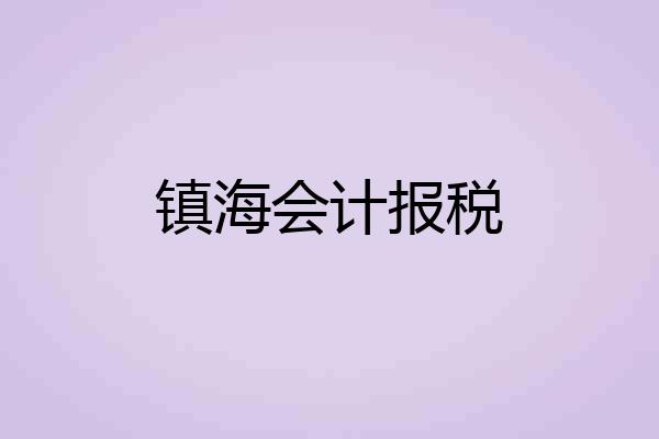 镇海会计报税