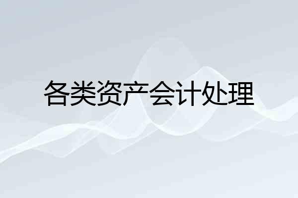 各类资产会计处理