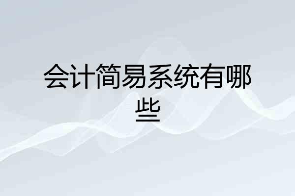 会计简易系统有哪些