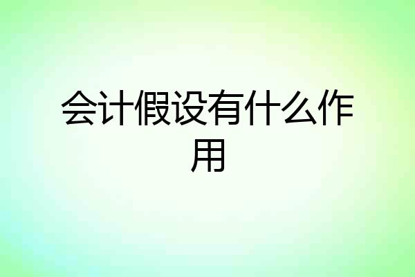 会计假设有什么作用