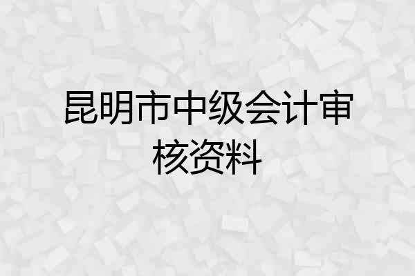昆明市中级会计审核资料
