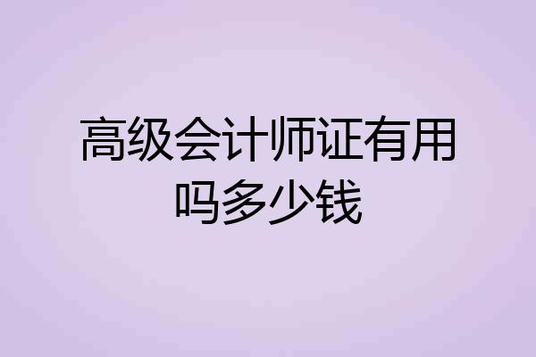 高级会计师证有用吗多少钱