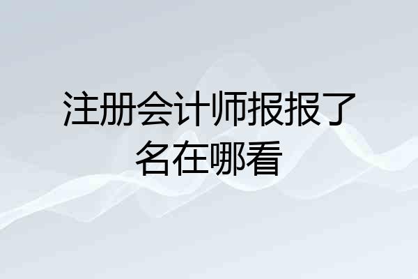 注册会计师报报了名在哪看