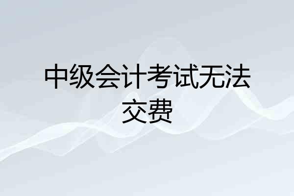 中级会计考试无法交费