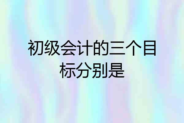 初级会计的三个目标分别是