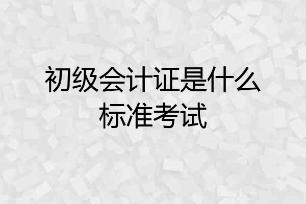 初级会计证是什么标准考试