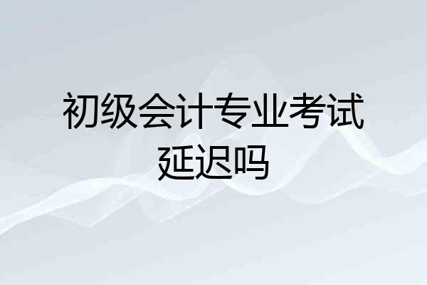 初级会计专业考试延迟吗