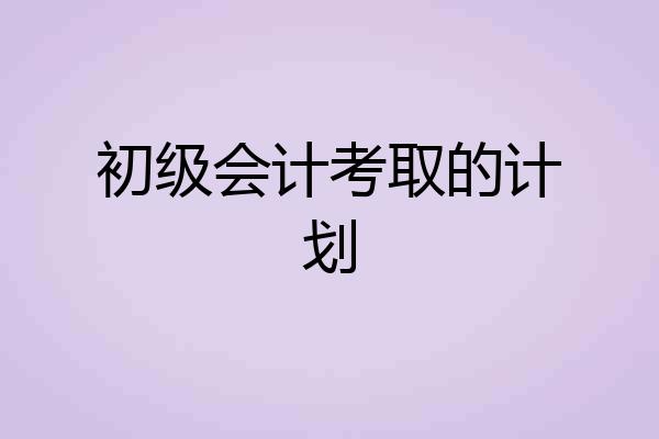 初级会计考取的计划