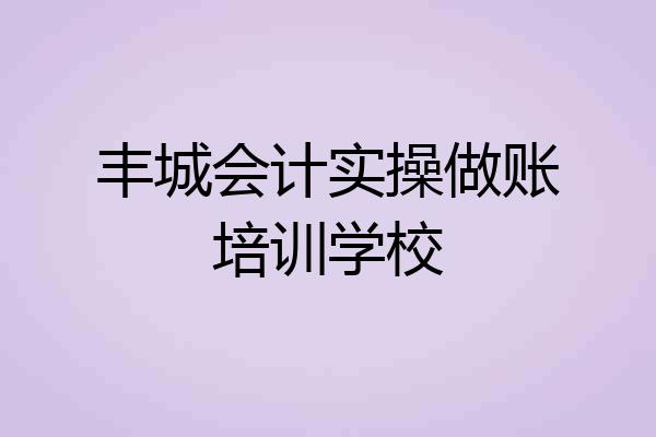 丰城会计实操做账培训学校