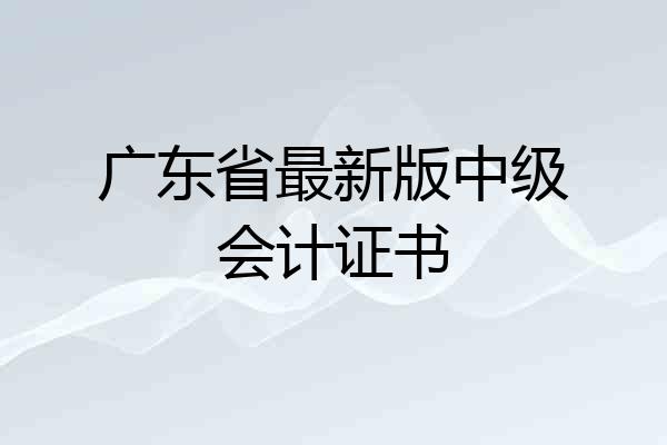 广东省最新版中级会计证书