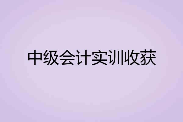 中级会计实训收获