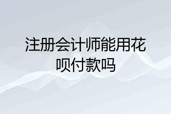 注册会计师能用花呗付款吗