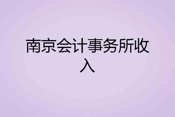 南京会计事务所收入