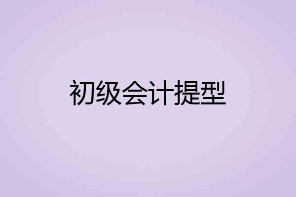 初级会计提型