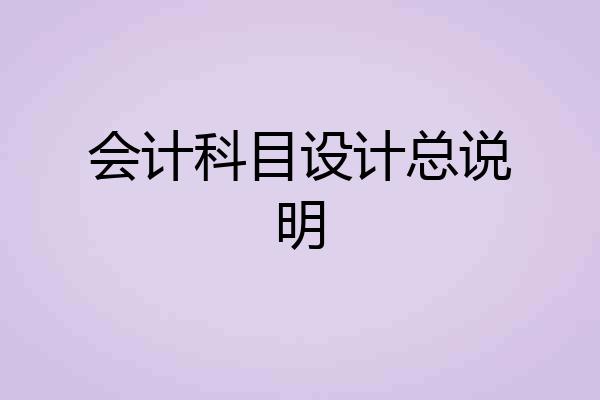 会计科目设计总说明