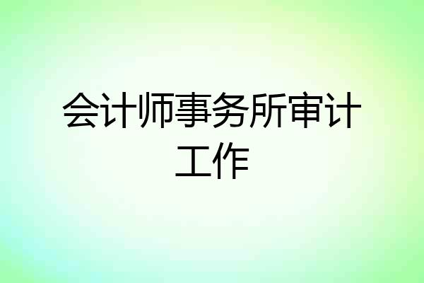 会计师事务所审计工作