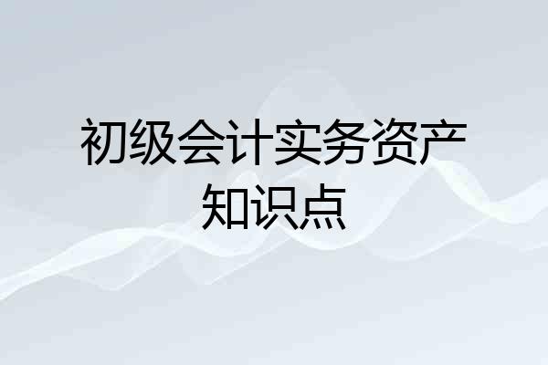 初级会计实务资产知识点