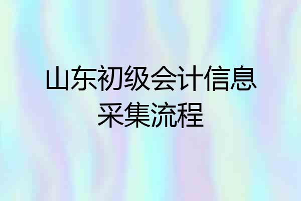山东初级会计信息采集流程