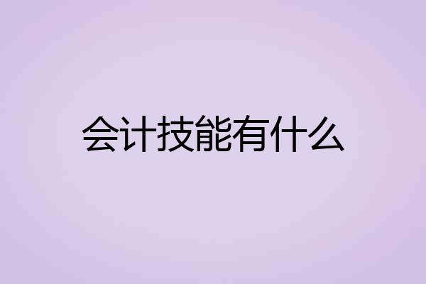 会计技能有什么