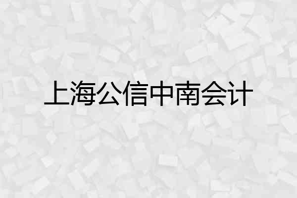 上海公信中南会计