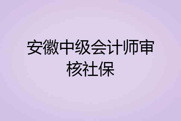 安徽中级会计师审核社保