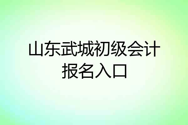 山东武城初级会计报名入口