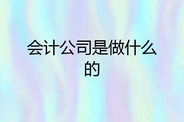 会计公司是做什么的