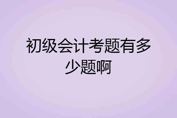初级会计考题有多少题啊