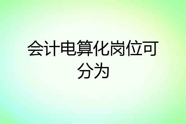 会计电算化岗位可分为