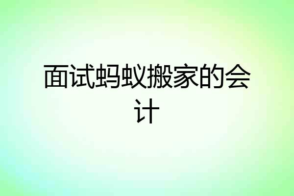 面试蚂蚁搬家的会计