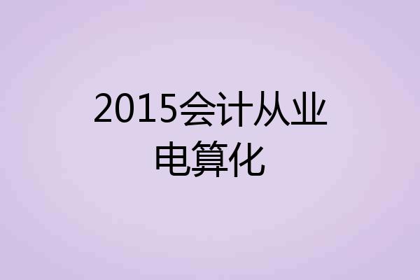 2015会计从业电算化
