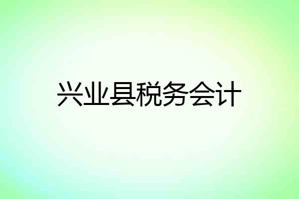 兴业县税务会计