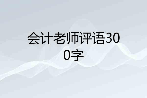 会计老师评语300字