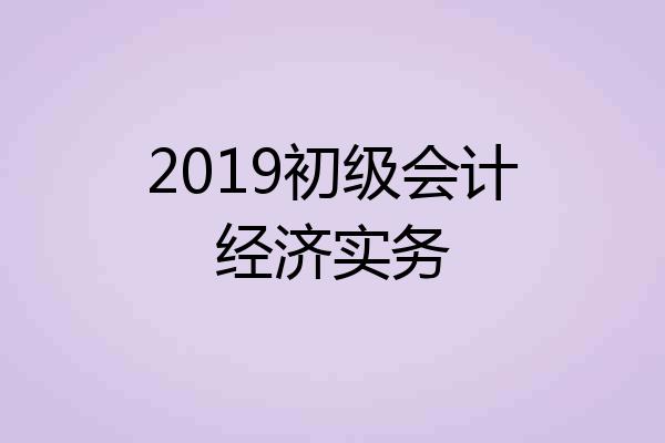 2019初级会计经济实务