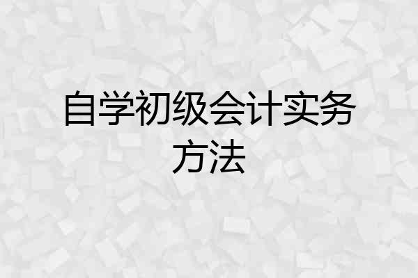 自学初级会计实务方法