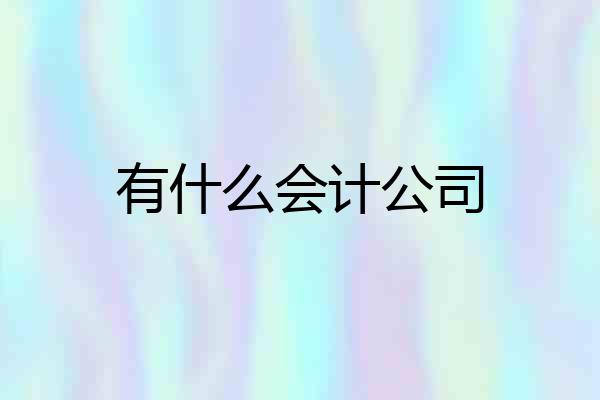 有什么会计公司