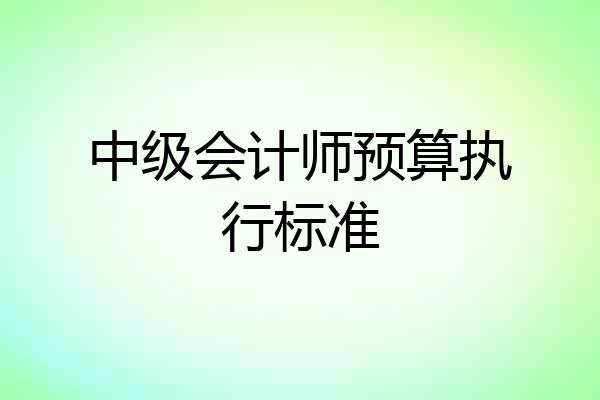中级会计师预算执行标准
