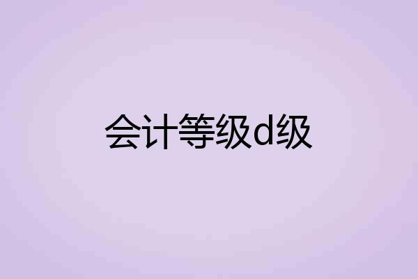 会计等级d级