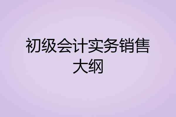 初级会计实务销售大纲