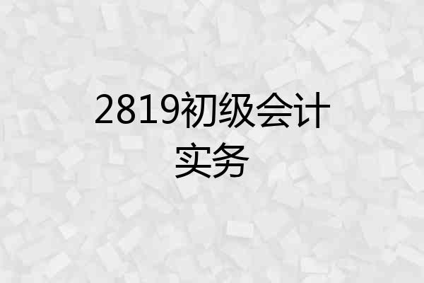 2819初级会计实务